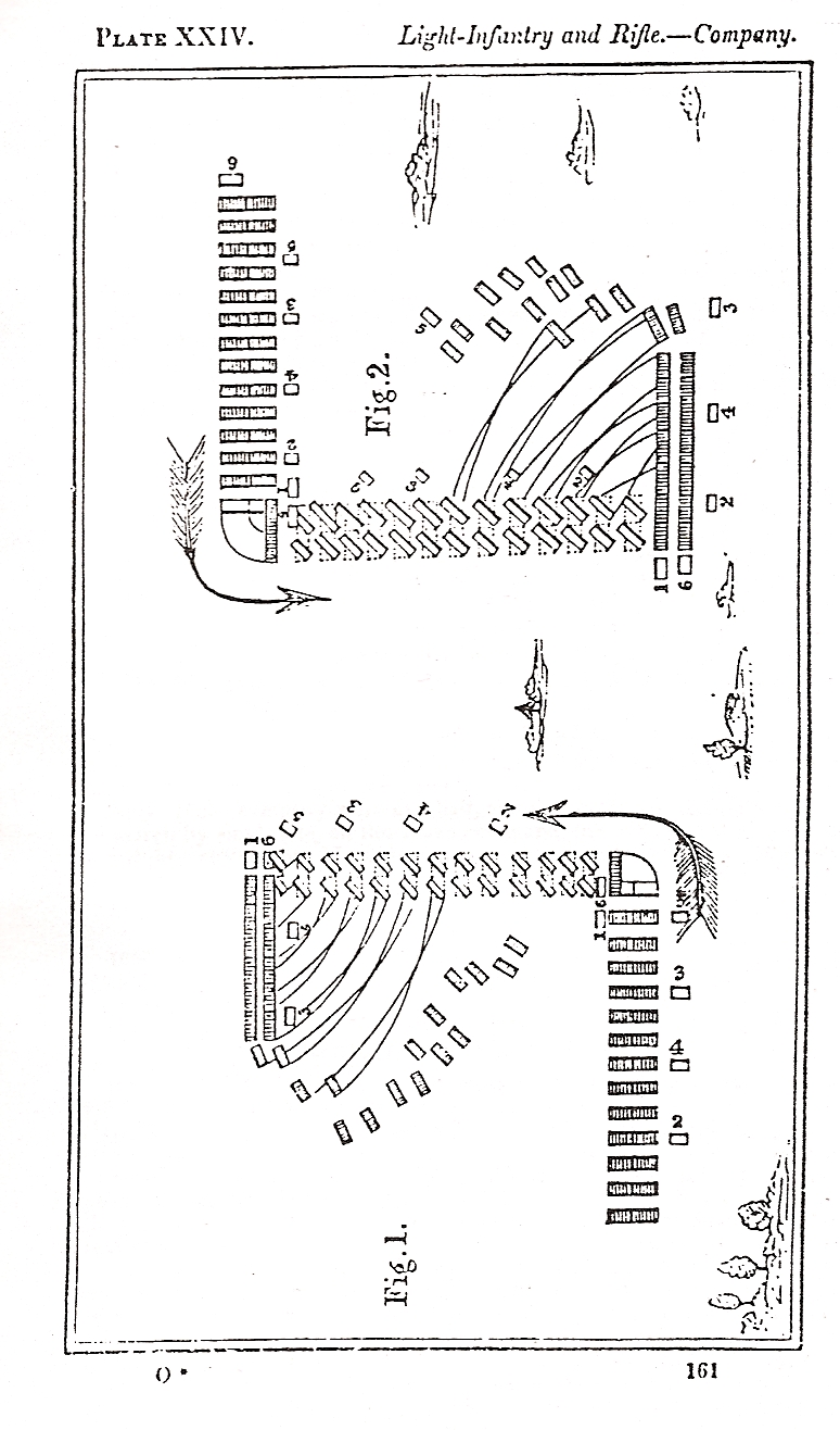 plate 24