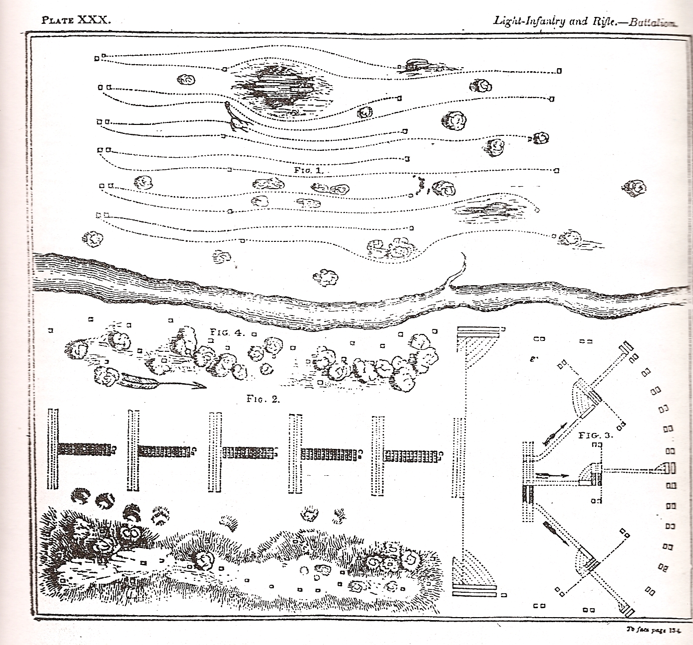 plate 30