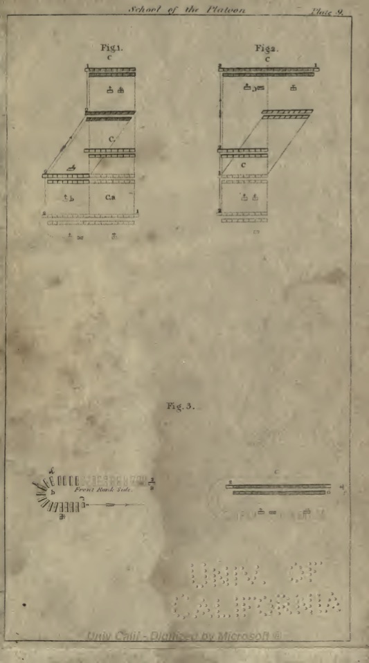 Potter;s Plate IX